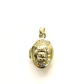 Medaillon, 14krt.goud ovaal Forever Friends (10x13mm.) - 1250