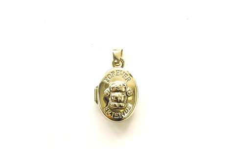 Medaillon, 14krt.goud ovaal Forever Friends (10x13mm.) - 1250
