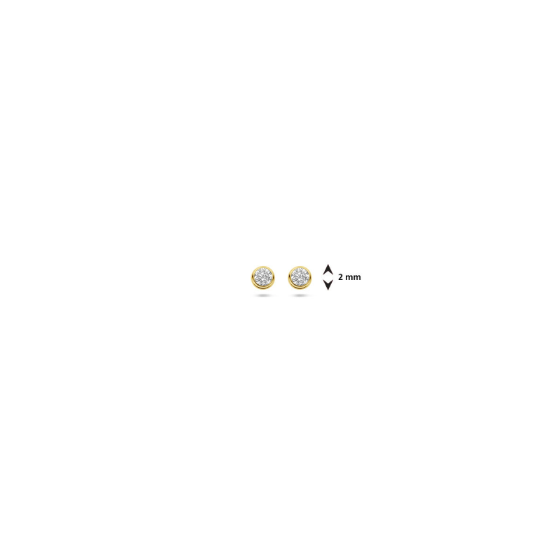 Oorknop, 14krt goud met zirconia (2mm.) PRIJS PER STUK! - 9078 Oorknop, 14krt goud met zirconia (2mm.) PRIJS PER STUK! - 9078