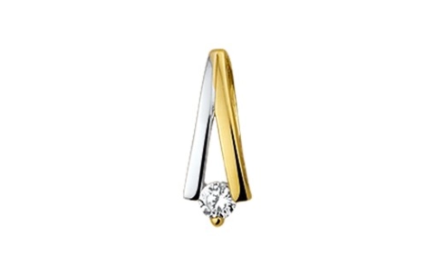 Hanger, 14krt.bicolour goud met zirconia (12,5mm.) - 9920