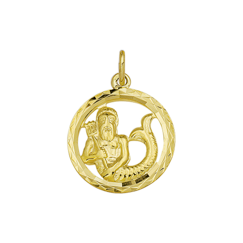 HC Hanger, 14krt.goud sterrenbeeld waterman (16mm.) - 10217
