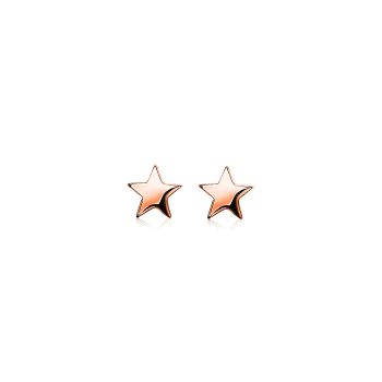 Zinzi Oorknoppen, model ZIO1377R ster - 15009
