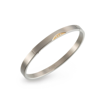Boccia Armband, titanium model 03006-03 (breedte: 6mm.) - 18939 Boccia Armband, titanium model 03006-03 (breedte: 6mm.) - 18939
