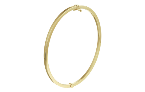 Fjory Bangle, 14krt.goud met massief zilveren kern (breedte:2,5mm.- diameter:61mm.) - 19424