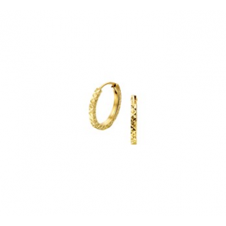 HC Oorringen, 14krt.goud (12x1.2mm.) - 19691