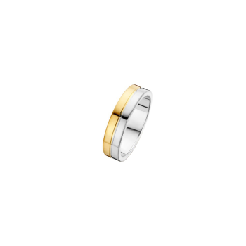 Fjory Relatiering, zilver/goud maat 21 (breedte: 5mm.) - 19880 Fjory Relatiering, zilver/goud maat 21 (breedte: 5mm.) - 19880