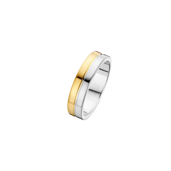 Fjory Relatiering, zilver/goud maat 21 (breedte: 5mm.) - 19880