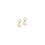 Creoolhangers, 14krt.Goud met zoetwaterparel (6,5mm.) - 20281