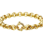 Fjory Armband, 14krt.goud met massief zilveren kern jasseron 6,6mm. (lente:19cm.) - 19142