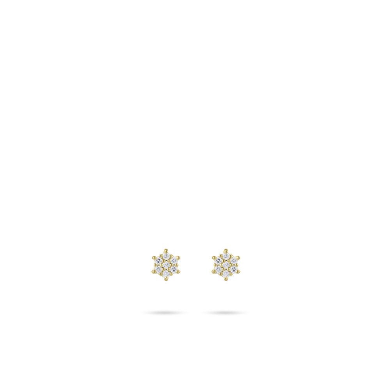 Oorknoppen, 14krt.goud met zirconia (diameter 5mm.) - 22503