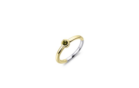 HC Ring, zilver verguld met groen zirconia (maat54) - 22872