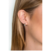 Zinzi Oorknoppen, model ZIO1662G - 23014