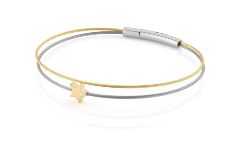 CLIC, Thinking of You edelstalen armband met Sterretje (18cm.) - 23060