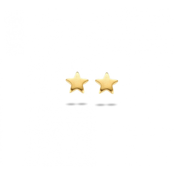 Oorknoppen, zilver verguld ster (5mm.) - 23195