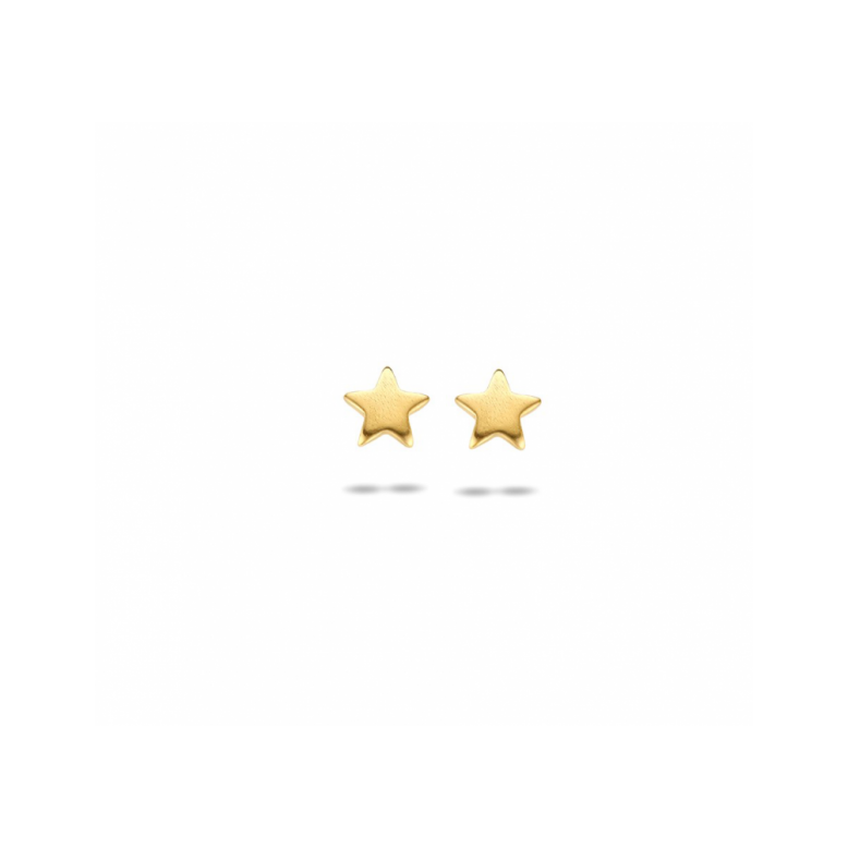 Oorknoppen, zilver verguld ster (5mm.) - 23195