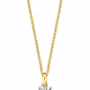 Bernstein Hanger, 14krt.bicolour goud met diamant totaal 0,10ct. (excl.collier) - 23461