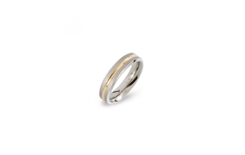 Boccia Ring, titanium model 0144-02 breedte: 5mm. deels verguld - 24704