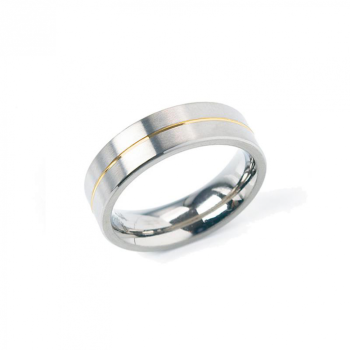Boccia Ring, titanium model 0101-21 breedte: 6mm. deels verguld - 24701