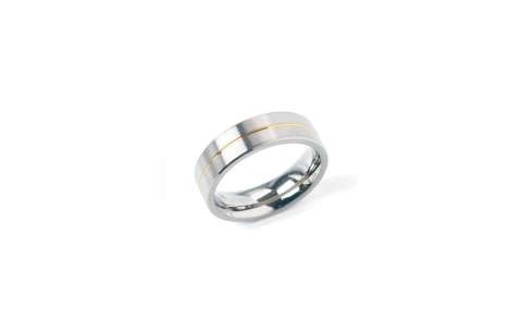 Boccia Ring, titanium model 0101-21 breedte: 6mm. deels verguld - 24701