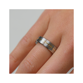 Boccia Ring, titanium model 0101-21 breedte: 6mm. deels verguld - 24701