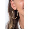 Zinzi Oorringen, model ZIO437G (55x2mm.) - 24573