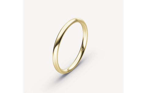 Rauschmayer herenring, 9krt.geelgoud breedte: 2mm. (maat 59) - 24666