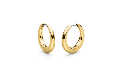 Boccia Oorringen, titanium/verguld model 05100-02 (20x4mm.) - 24706