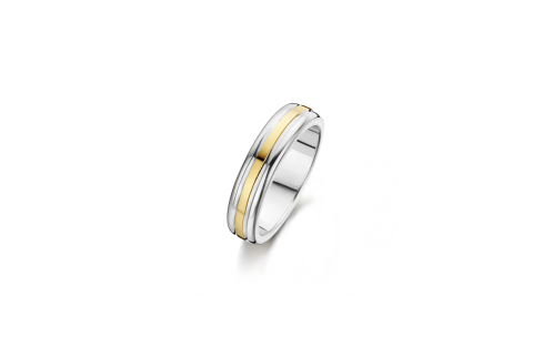 Fjory Relatiering, zilver/goud maat 21 (breedte: 5mm.) - 24712