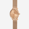 Sternglas Naos XS Edition Elyra - 24821 Sternglas Naos XS Edition Elyra - 24821