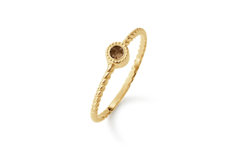 Jackie Ring,14krt.goud "Kirstenbosch Smoky Quartz Ring" 2,5mm.(maat 54) - 24843