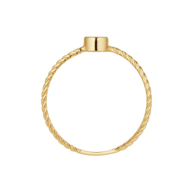 Jackie Ring,14krt.goud "Kirstenbosch Smoky Quartz Ring" 2,5mm.(maat 54) - 24843
