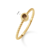 Jackie Ring,14krt.goud "Kirstenbosch Smoky Quartz Ring" 2,5mm.(maat 54) - 24843