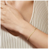 Armband, 14krt.goud cardano-schakel (19cm.) - 24906