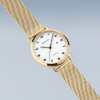 Bering Dameshorloge, model 18634-334 Titanium (34mm) - 24922