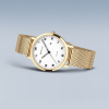 Bering Dameshorloge, model 18634-334 Titanium (34mm) - 24922