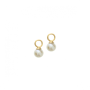 Oorbedels, 14krt.Goud met zoetwaterparel (6mm.) - 23277