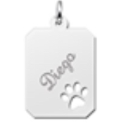 Graveerhanger, zilver rechthoekig met hondepoot inscriptie Odin (14x18mm.) - 25002
