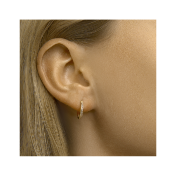 Oorringen, 14kt.goud met zirkonia (14x2mm.) - 24009 Oorringen, 14kt.goud met zirkonia (14x2mm.) - 24009