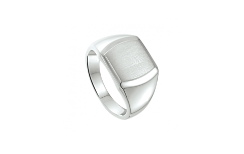 Ring, zilver poli/mat (maat 20) - 24346