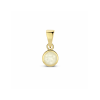 Hanger, 14krt.goud met Maansteen (5x11mm.) - 25020