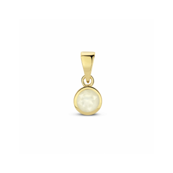 Hanger, 14krt.goud met Maansteen (5x11mm.) - 25020