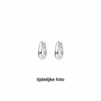 Oorringen, zilver gerhodineerd  ovaal (16,5x6,5mm.) - 24989
