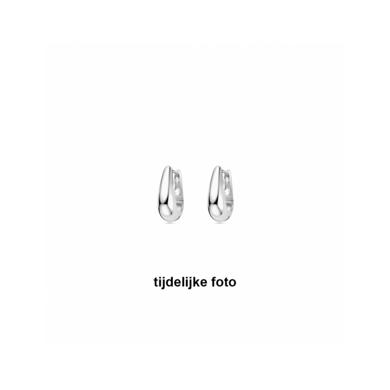 Oorringen, zilver gerhodineerd  ovaal (16,5x6,5mm.) - 24989