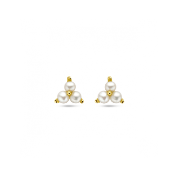 Oorknoppen, zilver verguld met zoetwaterparels (6mm.) - 24182 Oorknoppen, zilver verguld met zoetwaterparels (6mm.) - 24182