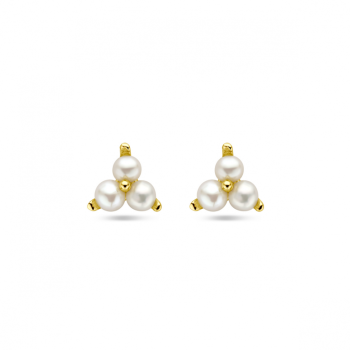 Oorknoppen, zilver verguld met zoetwaterparels (6mm.) - 24182 Oorknoppen, zilver verguld met zoetwaterparels (6mm.) - 24182