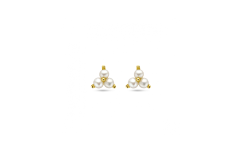 HC Oorknoppen, zilver verguld met zoetwaterparels (6mm.) - 24182