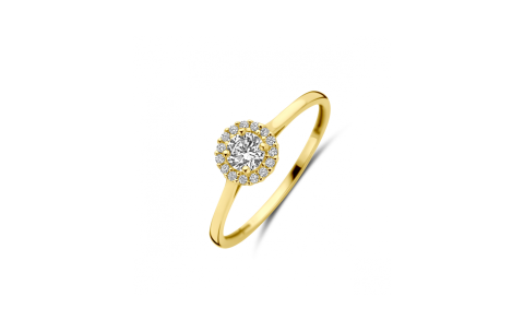 Ring, 14krt.goud met zirkonia - 24675