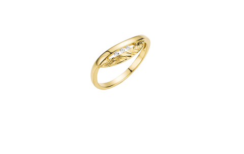 Sueno Ring, model 22-96 14krt.goud met 0.045ct.diamant (mt. 17,5) - 15187
