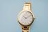 Bering Dameshorloge Quartz, model 17231-734 Ultra Slim, Double. - 20175