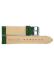 calf leather watch strap with fine lizard print and nubuck lining. This semi padded watch strap is soft and has a stainless steel buckle. - 21242